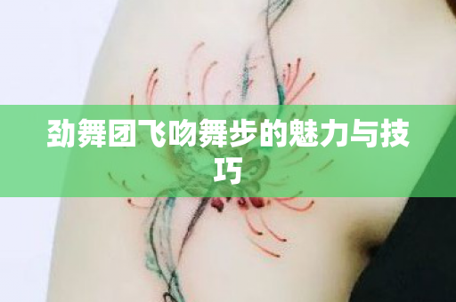 劲舞团飞吻舞步的魅力与技巧图片