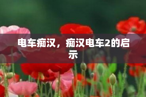 痴汉电车2的启示图片