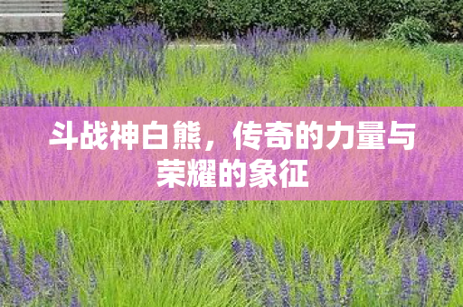 传奇的力量与荣耀的象征图片