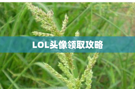 LOL头像领取攻略图片