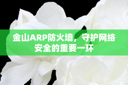 守护网络安全的重要一环图片