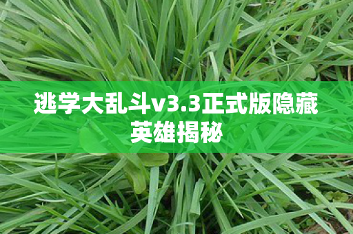 3正式版隐藏英雄揭秘图片