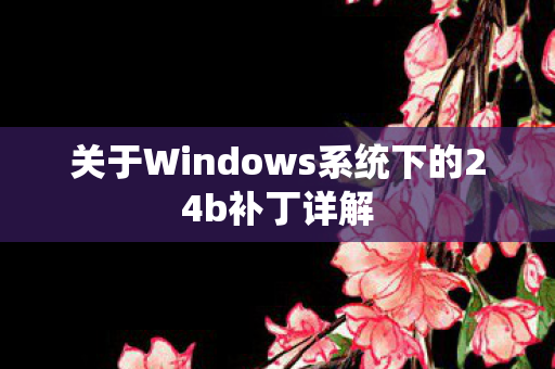关于Windows系统下的24b补丁详解图片