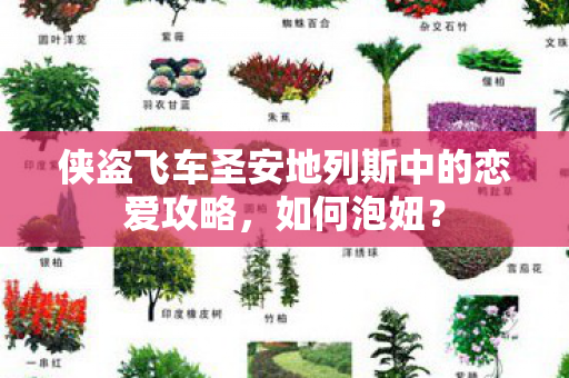 侠盗飞车圣安地列斯中的恋爱攻略图片