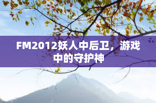 FM2012妖人中后卫图片