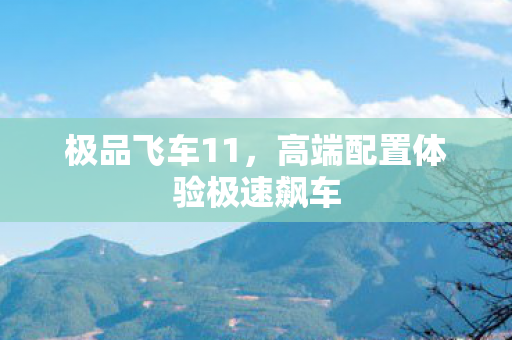 高端配置体验极速飙车图片