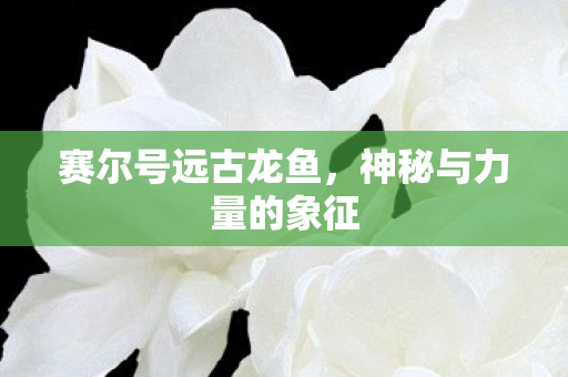 神秘与力量的象征图片