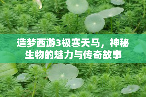 神秘生物的魅力与传奇故事图片