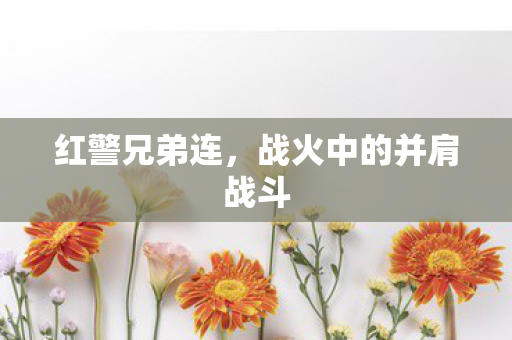 战火中的并肩战斗图片