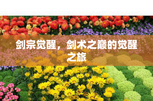 剑术之巅的觉醒之旅图片