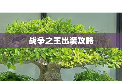 战争之王出装攻略图片