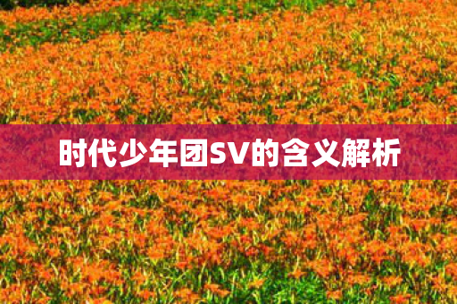 时代少年团SV的含义解析图片
