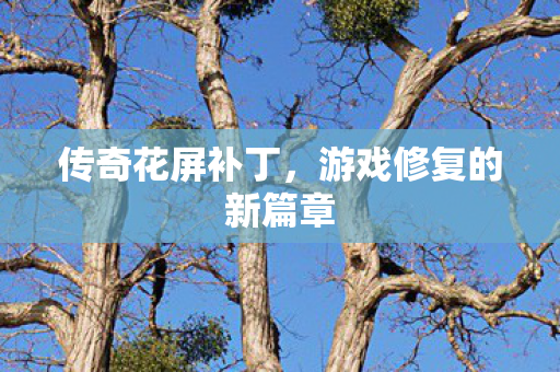 游戏修复的新篇章图片