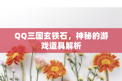 神秘的游戏道具解析图片