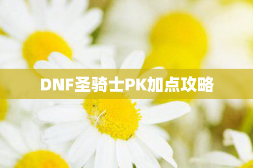 DNF圣骑士PK加点攻略图片