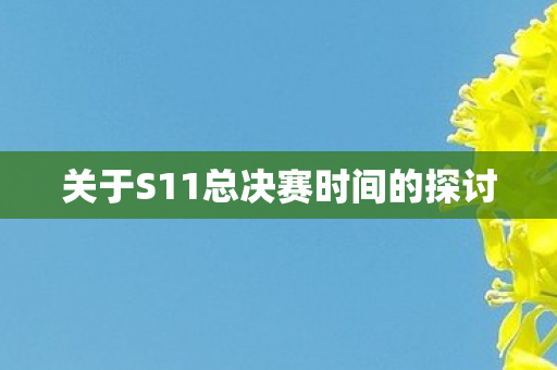 关于S11总决赛时间的探讨图片