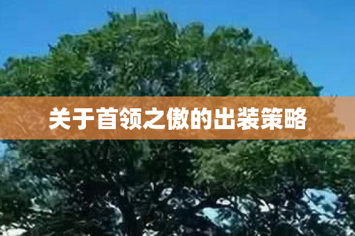关于首领之傲的出装策略图片