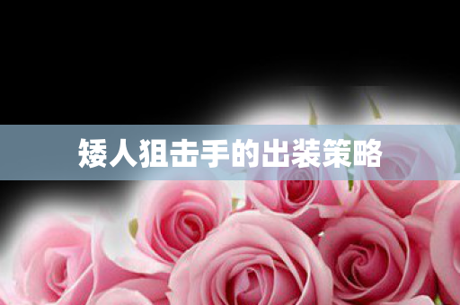 矮人狙击手的出装策略图片