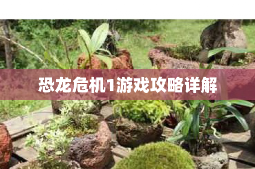 恐龙危机1游戏攻略详解图片