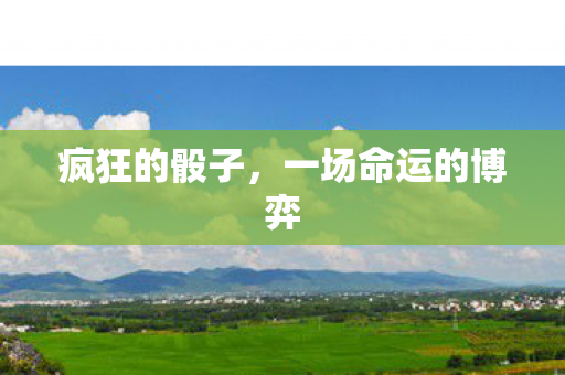 一场命运的博弈图片