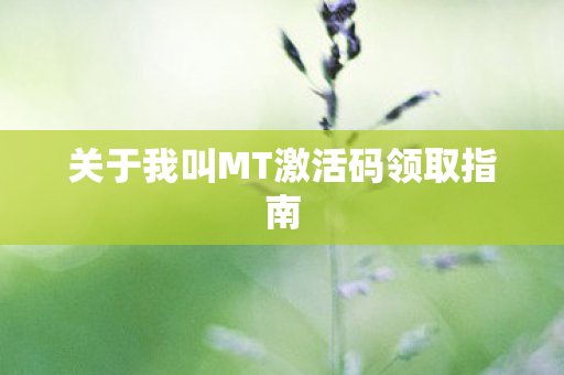 关于我叫MT激活码领取指南图片