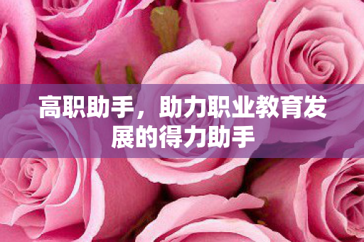 助力职业教育发展的得力助手图片