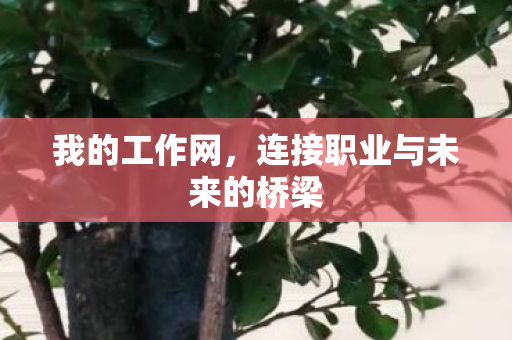 连接职业与未来的桥梁图片