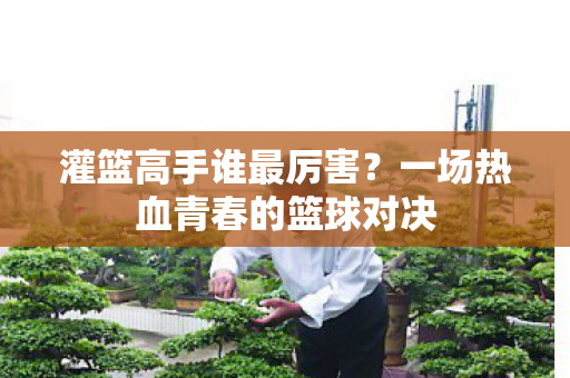 一场热血青春的篮球对决图片