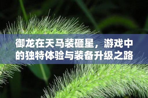 游戏中的独特体验与装备升级之路图片