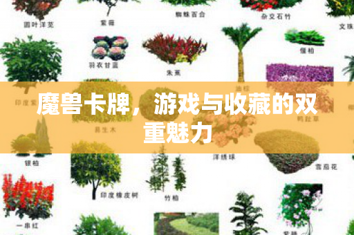 游戏与收藏的双重魅力图片