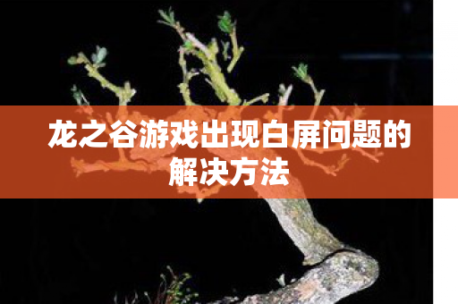 龙之谷游戏出现白屏问题的解决方法图片
