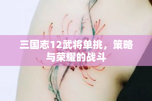 三国志12武将单挑图片