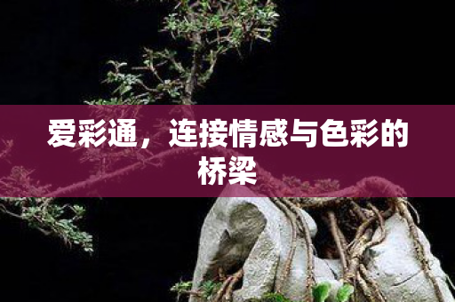连接情感与色彩的桥梁图片