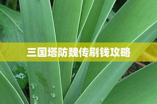 三国塔防魏传刷钱攻略图片