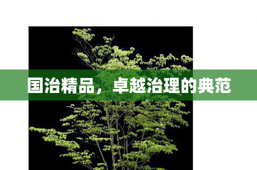 卓越治理的典范图片