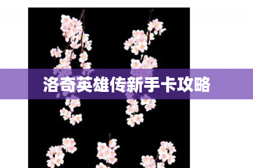 洛奇英雄传新手卡攻略图片