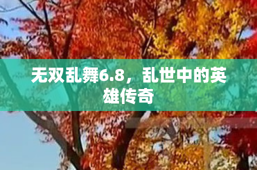 乱世中的英雄传奇图片