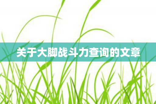 关于大脚战斗力查询的文章图片