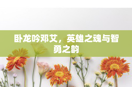 英雄之魂与智勇之韵图片