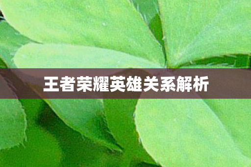 王者荣耀英雄关系解析图片