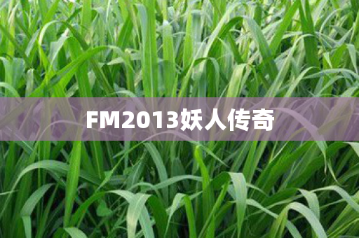 FM2013妖人传奇图片