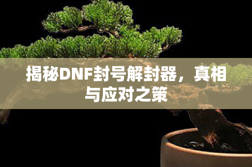 揭秘DNF封号解封器图片