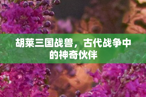 古代战争中的神奇伙伴图片