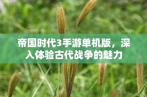 深入体验古代战争的魅力图片