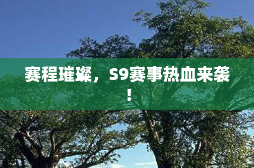 S9赛事热血来袭图片