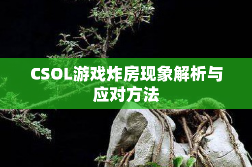 CSOL游戏炸房现象解析与应对方法图片