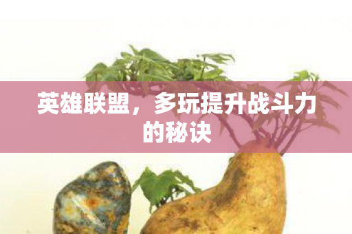 多玩提升战斗力的秘诀图片