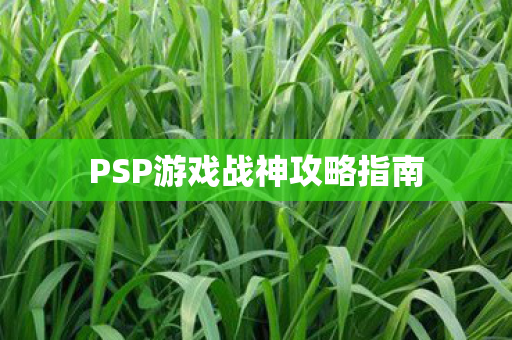 PSP游戏战神攻略指南图片