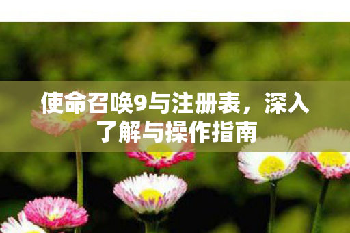 使命召唤9与注册表图片