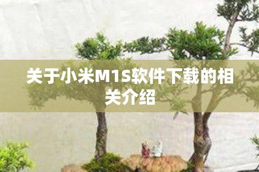 关于小米M1S软件下载的相关介绍图片
